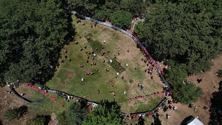 Bursa'daki köyde kadınlar hakimiyet kurdu, erkeklerin köye girişi yasaklandı