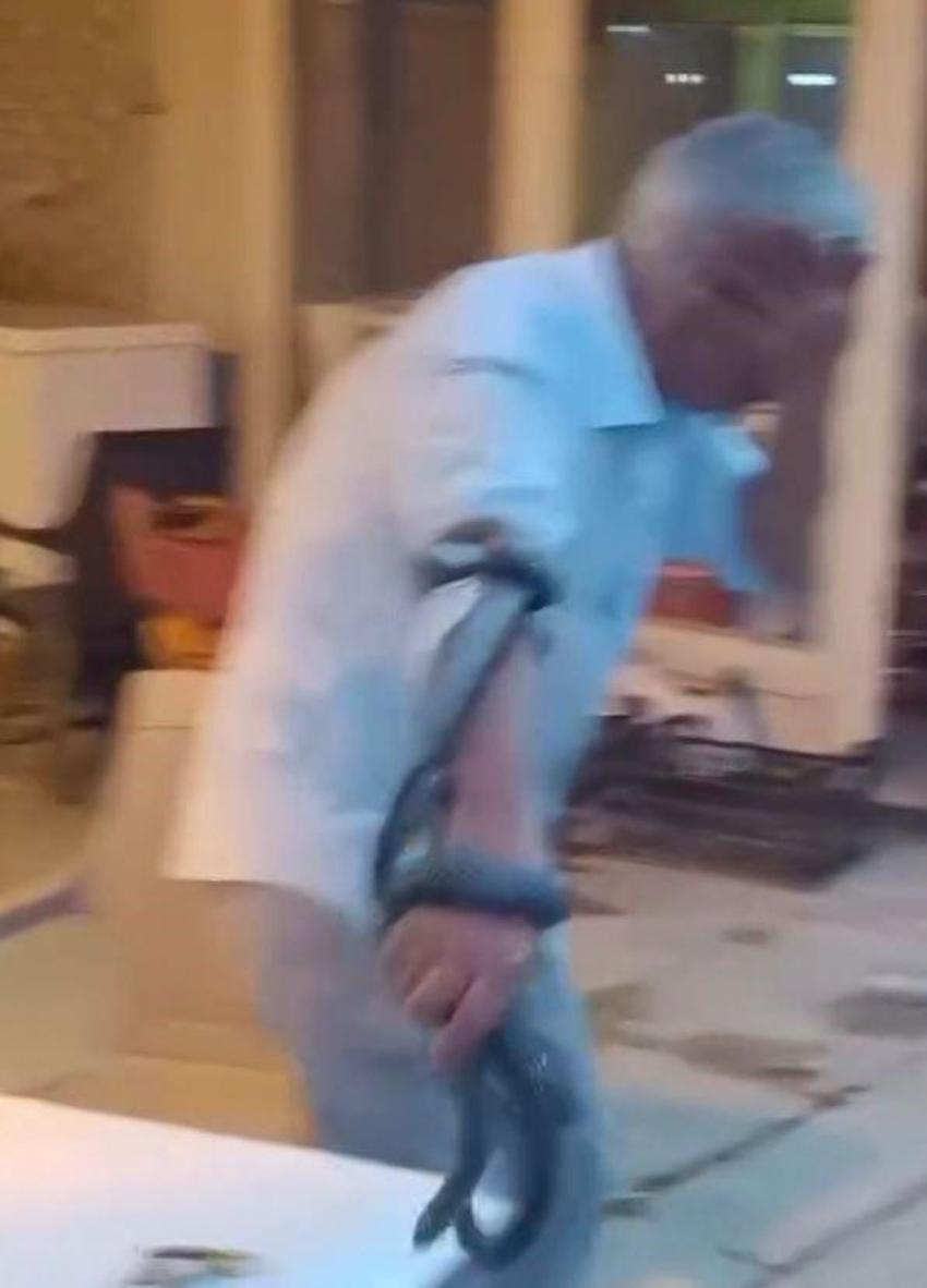 Adana Otogarı'nda yılanlarla şov yapan 'Yılancı Osman'ı beslediği yılan ısırdı