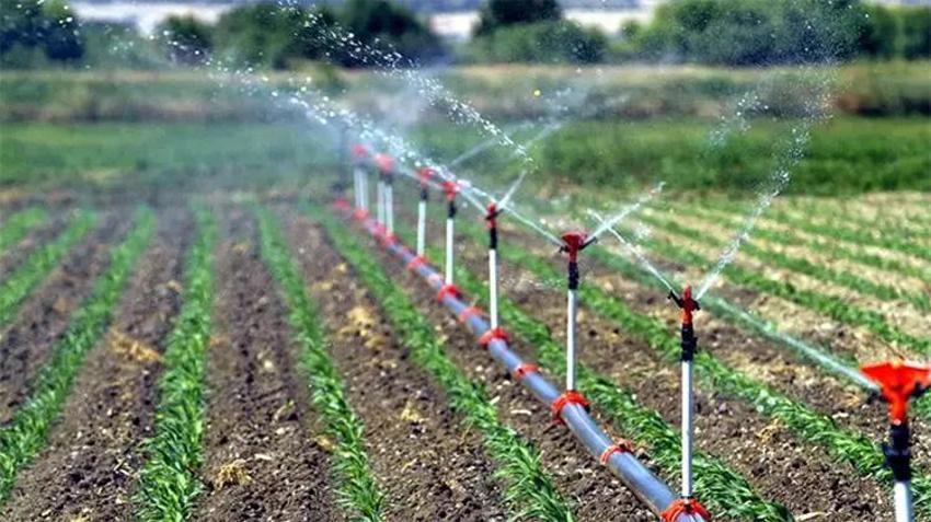 Adana bölgesinde su kıtlığı yaşanıyor! Mahsulde rekolte düştü çiftçilere ‘ekim yapmayın uyarısı’: Bölgede su verimliliği seferberliği başlatıldı