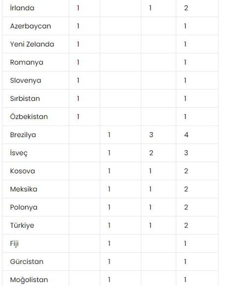 Paris Olimpiyatları 2024'te ülkeler sıralaması: Hangi ülke kaç altın, gümüş bronz madalya aldı? Paris 2024'te hangi ülke birinci oldu?
