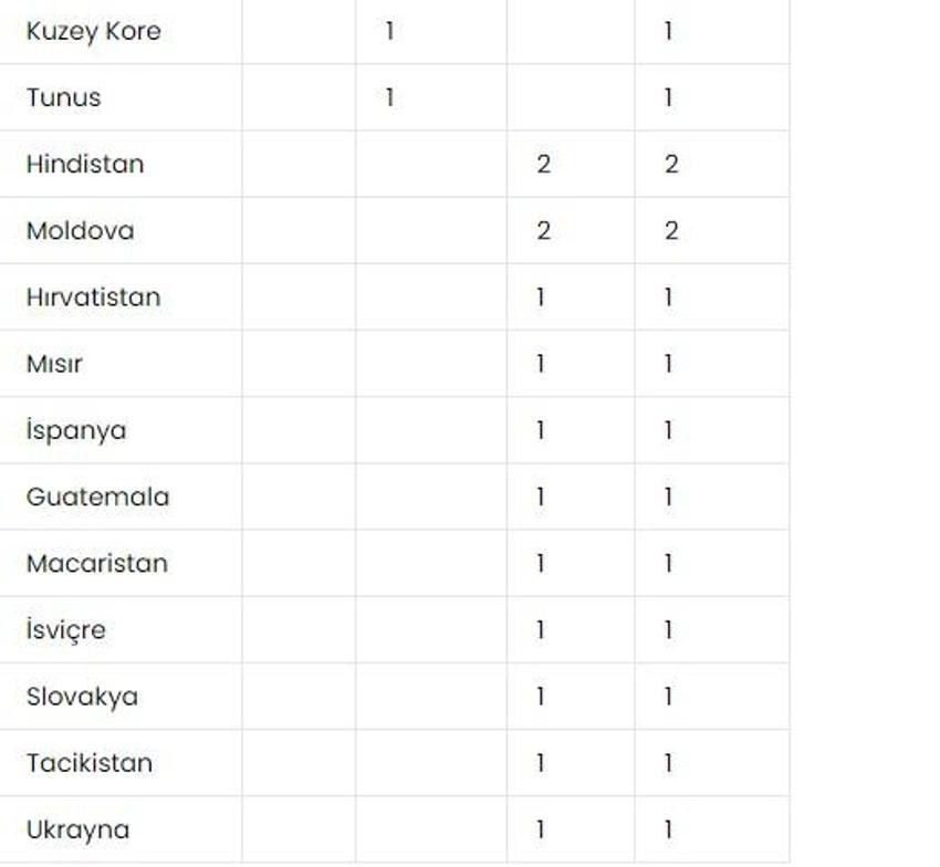 Paris Olimpiyatları 2024'te ülkeler sıralaması: Hangi ülke kaç altın, gümüş bronz madalya aldı? Paris 2024'te hangi ülke birinci oldu?