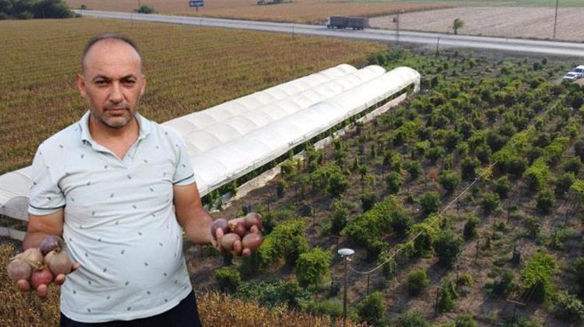 Adanalı çiftçi atıl arsayı üretim merkezine çevirdi! Birçok ilden sipariş yağıyor