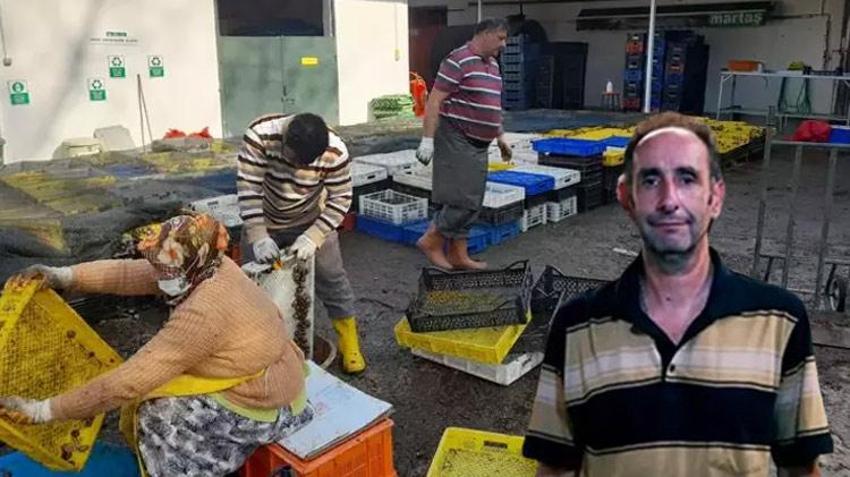 Türkiye'de yapan 4 kişi var! Kocaeli'nde üretiyor Avrupa'ya 5 euro'dan satıyor