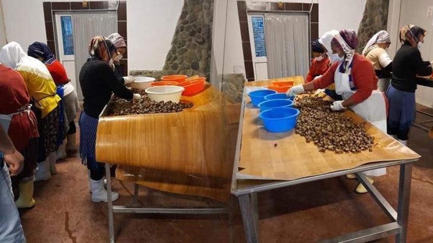 Türkiye'de yapan 4 kişi var! Kocaeli'nde üretiyor Avrupa'ya 5 euro'dan satıyor