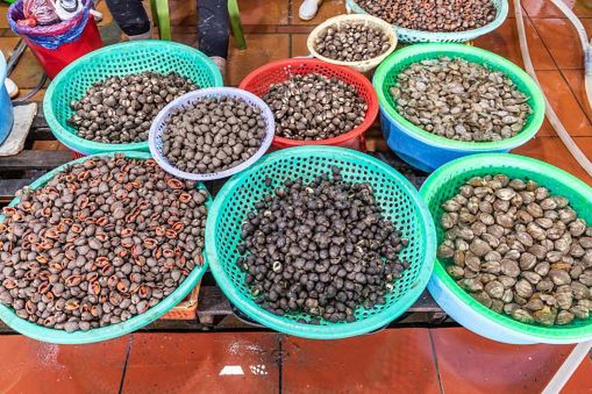 Türkiye'de yapan 4 kişi var! Kocaeli'nde üretiyor Avrupa'ya 5 euro'dan satıyor