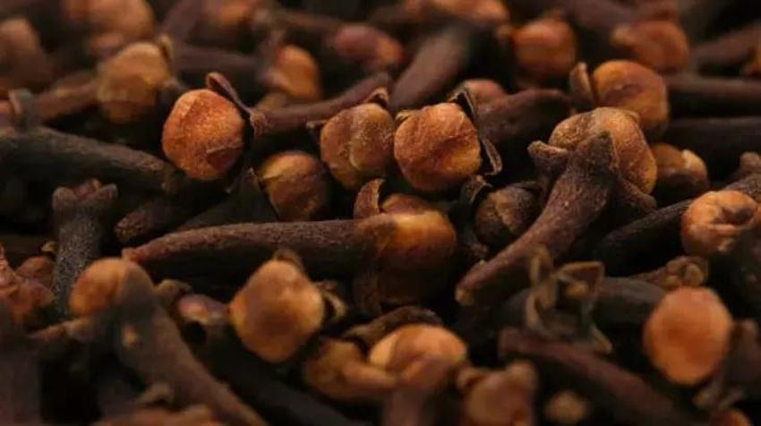 Sönük ve uzamayan saçları kurtaran kür! Bir tutam atıp kaynatın: Saçların uzamasında sütten daha etkili!