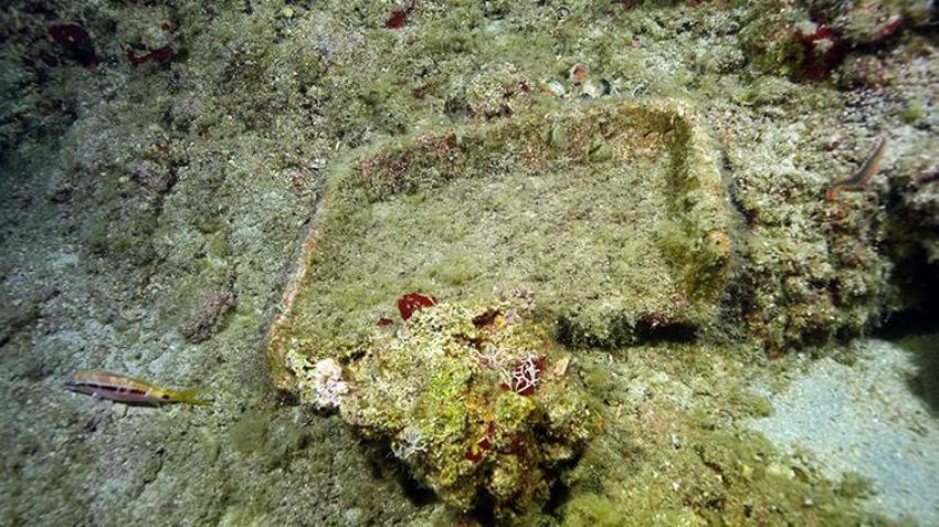 Dünyanın en eskisi Antalya'da! Tarihe ışık tutacak, bakanlık harekete geçti