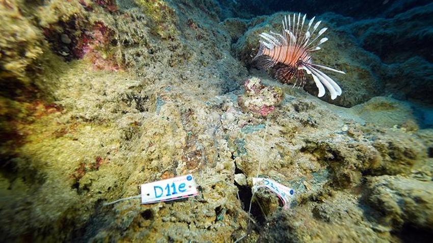 Dünyanın en eskisi Antalya'da! Tarihe ışık tutacak, bakanlık harekete geçti