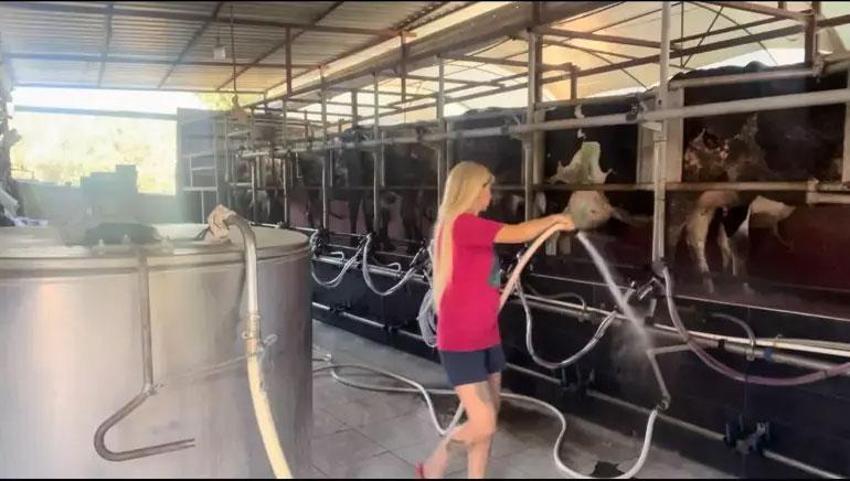 Mesleğinin zirvesinde gazeteciliği bıraktı, çiftlik kurdu! 'Bu iş erkek işi' diyenlere inat bir ilke imza attı