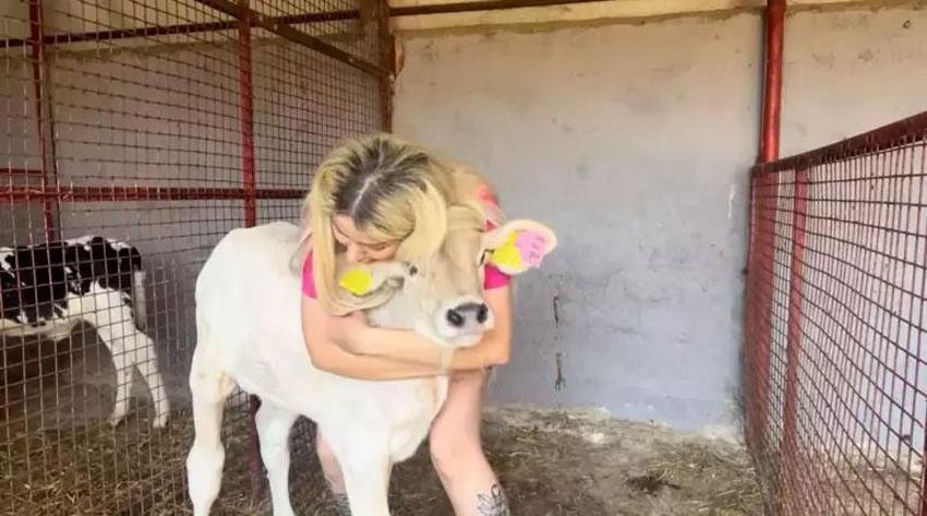 Mesleğinin zirvesinde gazeteciliği bıraktı, çiftlik kurdu! 'Bu iş erkek işi' diyenlere inat bir ilke imza attı