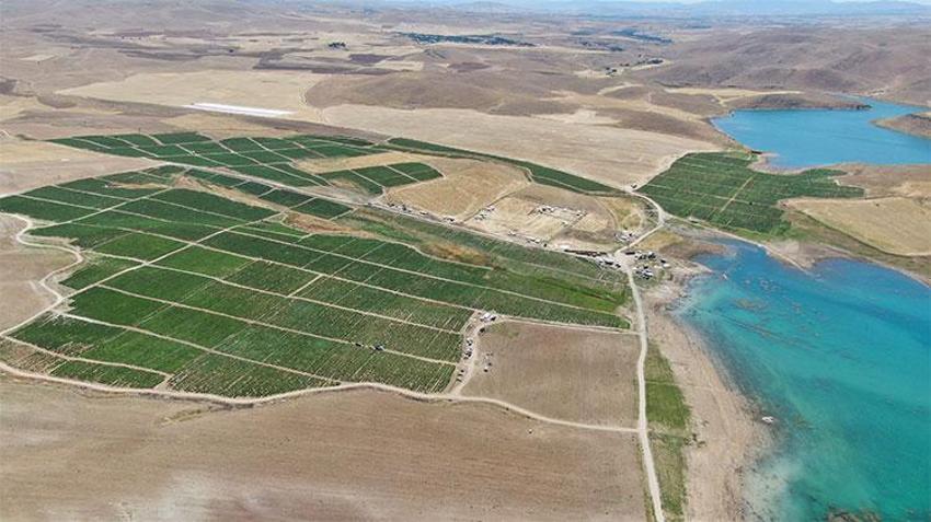 Kavurucu sıcaklarda zorlu mesai başladı! Ekmek mücadelesi saat 05.00'te başlıyor 