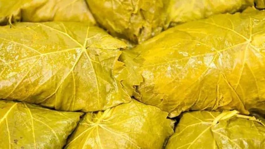 Küfleneyen asma yaprağı için tek kullanımlık tüyo; Buzdolabına koymadan önce sap kısımlarına bunu yapın