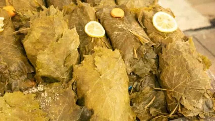 Küfleneyen asma yaprağı için tek kullanımlık tüyo; Buzdolabına koymadan önce sap kısımlarına bunu yapın