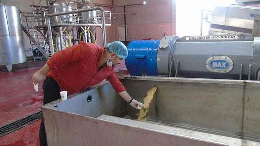 Gaziantep'te üzüm hasadı başladı! Koruk ekşisinin seri üretimi yapılacak