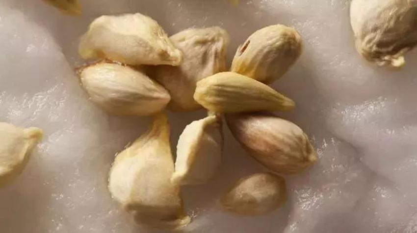 Çekirdeğini ezip toz haline getirin, yaz gribi 1 günde geçsin! Çöpe atarken iyi düşünün: Bu yöntemiyle de doğal deterjan oluyor!