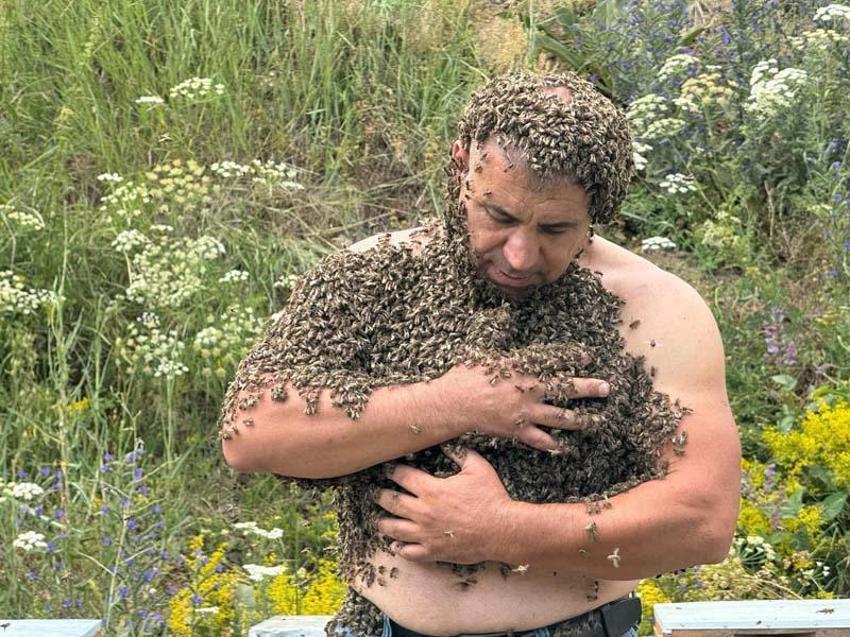 Karslı Arı Adam binlerce arıyla resim yaptı! Dünyaya tek bir mesaj verdi