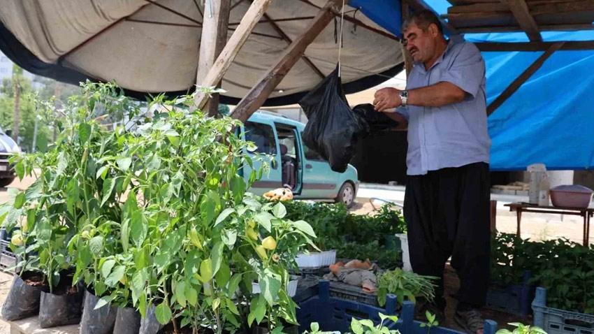 Adana'da kendi imkanlarıyla üretiyor vatandaşlar akın ediyor! Tohumunu 5 fidesini 20 liradan satıyor