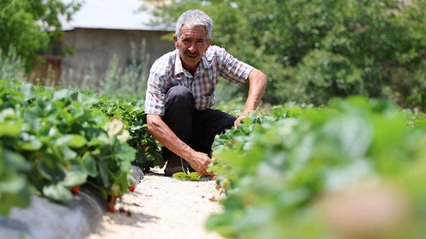 Almanya'dan öğrendiği sırlarla Sivas'ta üretiyor! Tadım yapan bir daha vazgeçemiyor