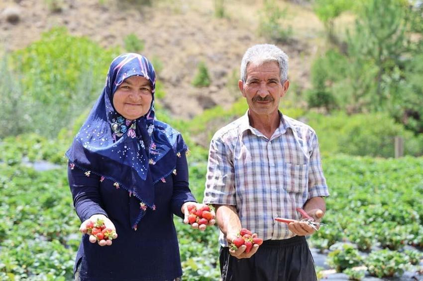 Almanya'dan öğrendiği sırlarla Sivas'ta üretiyor! Tadım yapan bir daha vazgeçemiyor