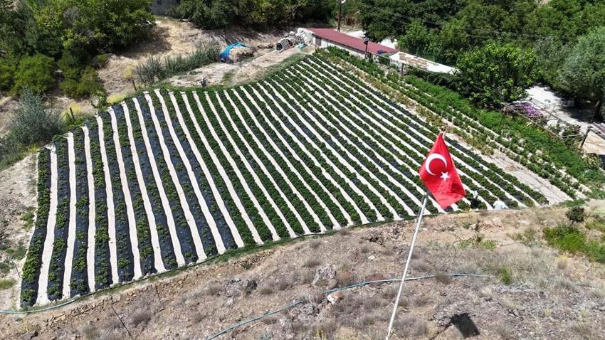Almanya'dan öğrendiği sırlarla Sivas'ta üretiyor! Tadım yapan bir daha vazgeçemiyor