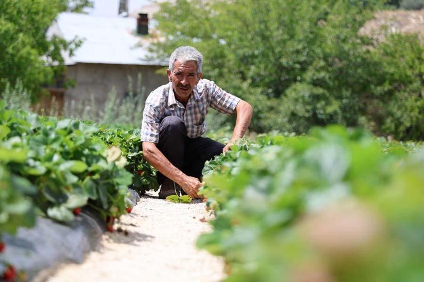 Almanya'dan öğrendiği sırlarla Sivas'ta üretiyor! Tadım yapan bir daha vazgeçemiyor
