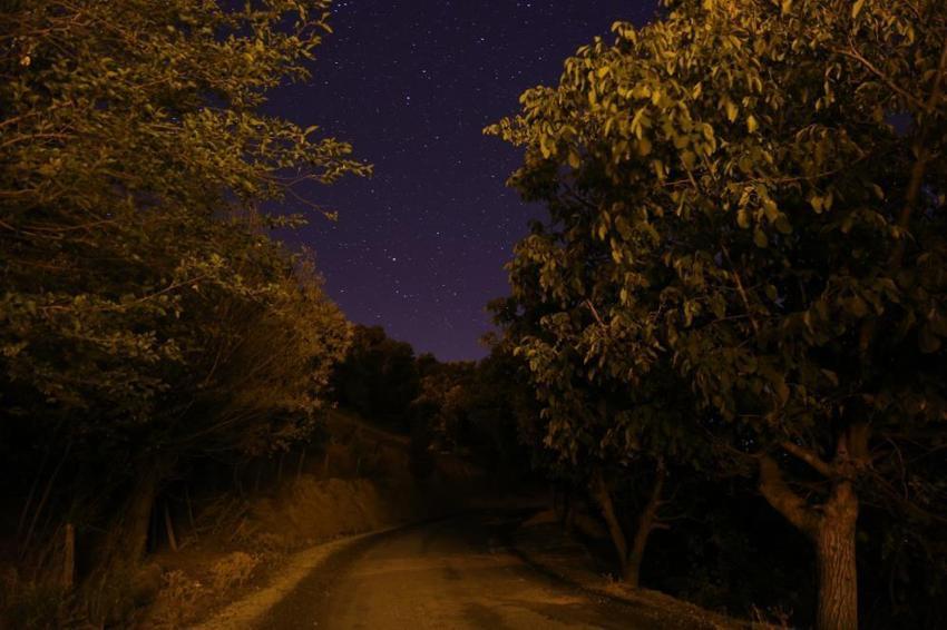 Adana'da meteor yağmuru! Görsel şölen oluşturdu!