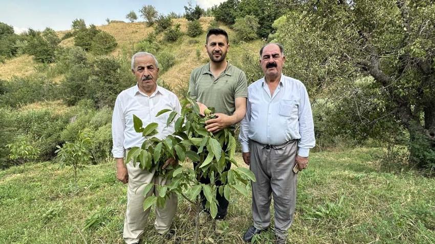 İran sınırını ‘Yeşil Vadi’ye çevirdi! 20 yıl boyunca emek verdi karşılığını aldı