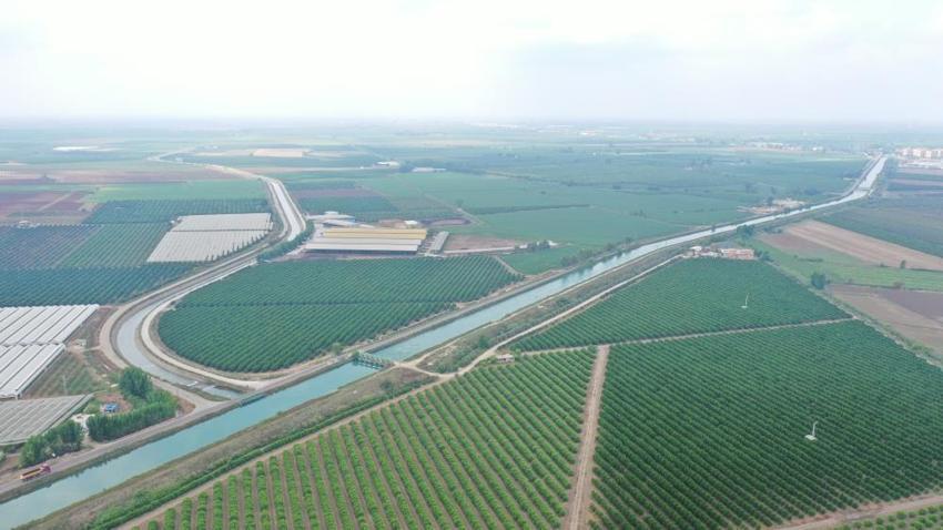 Adana bölgesinde su kıtlığı yaşanıyor! Mahsulde rekolte düştü çiftçilere ‘ekim yapmayın uyarısı’: Bölgede su verimliliği seferberliği başlatıldı