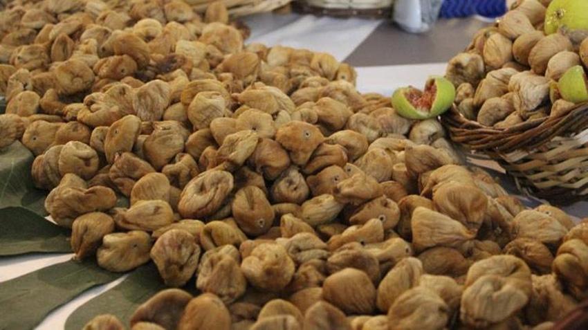 Aydın'da hasat başladı ilk alımı vali yaptı! Kilo fiyatı altınla yarışıyor
