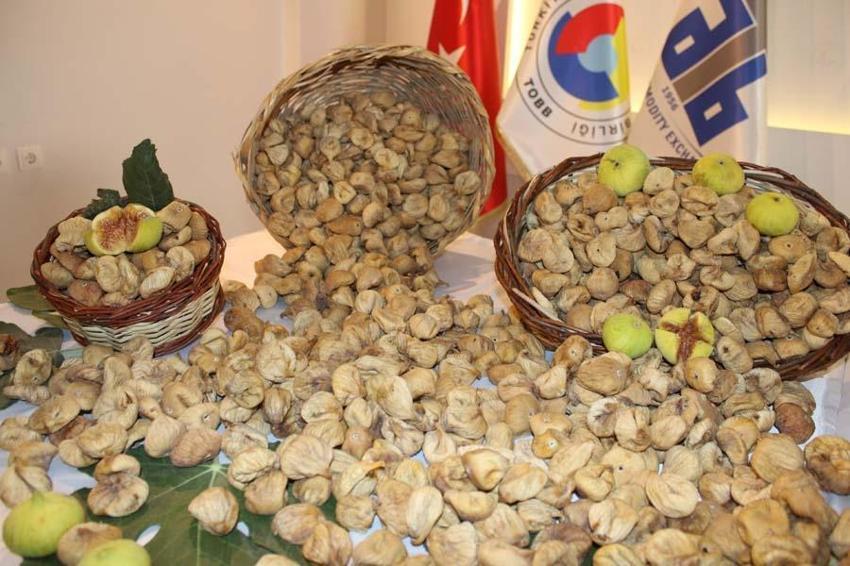 Aydın'da hasat başladı ilk alımı vali yaptı! Kilo fiyatı altınla yarışıyor