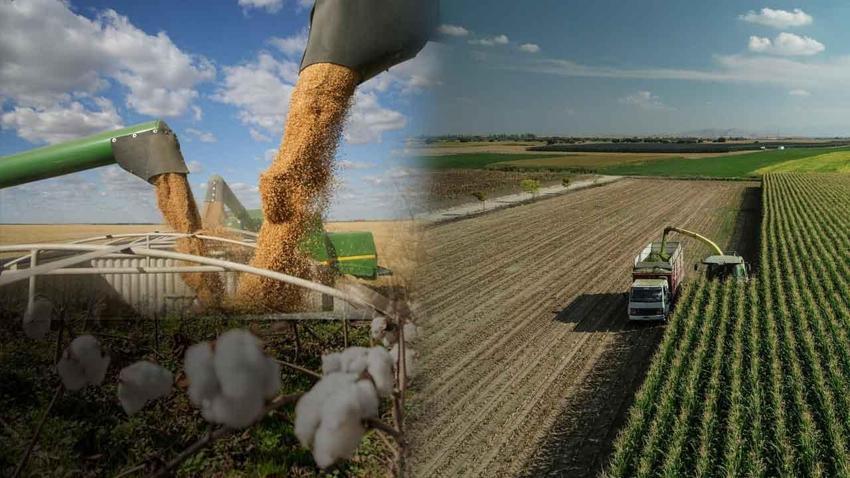 Adana'da tarımda dev proje: DSİ su verimliliğine karşı arazi geliştirme projesini hayata geçiriyor: Yüzde 100 verimlilik hedefleniyor