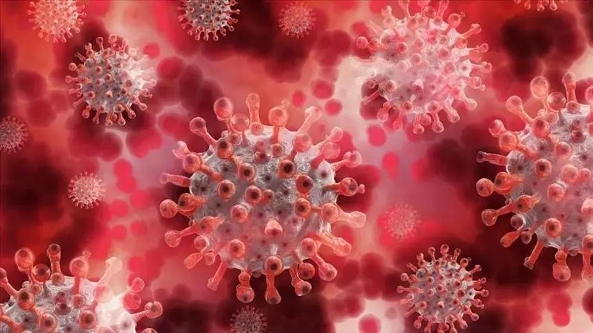Maymun Çiçeği Hastalığı (mpox) nasıl bulaşır, ölümcül mü, belirtileri neler? Maymun Çiçeği Türkiye'de var mı?