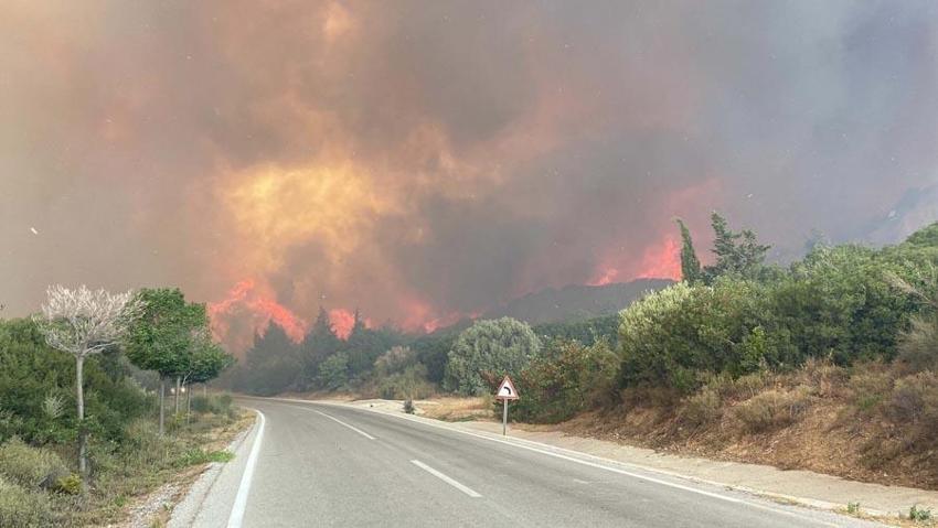 Çanakkale’nin Eceabat ilçesinde orman yangını çıktı! Bakan Yumaklı son durumu açıkladı