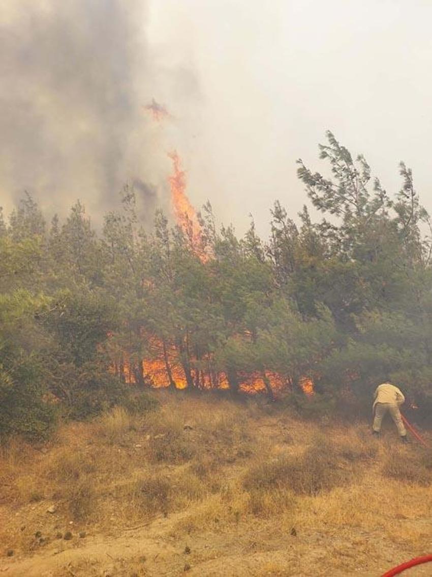 Çanakkale’nin Eceabat ilçesinde orman yangını çıktı! Bakan Yumaklı son durumu açıkladı