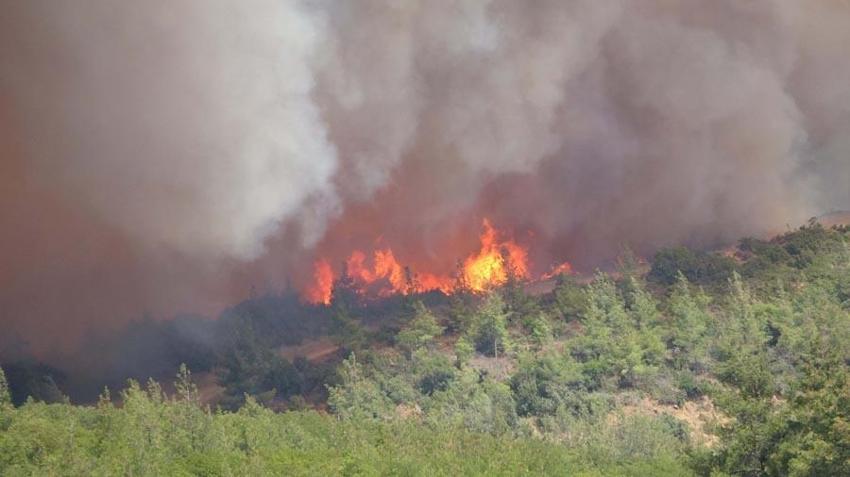 Çanakkale’nin Eceabat ilçesinde orman yangını çıktı! Bakan Yumaklı son durumu açıkladı