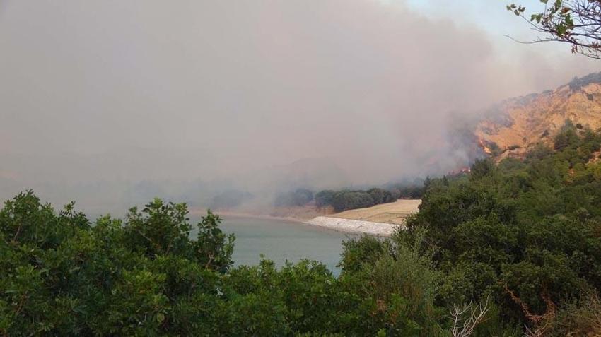 Çanakkale’nin Eceabat ilçesinde orman yangını çıktı! Bakan Yumaklı son durumu açıkladı