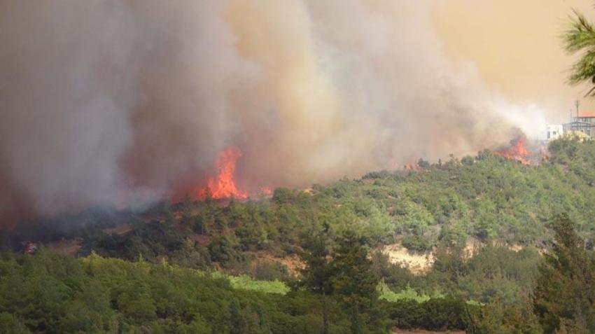 Çanakkale’nin Eceabat ilçesinde orman yangını çıktı! Bakan Yumaklı son durumu açıkladı