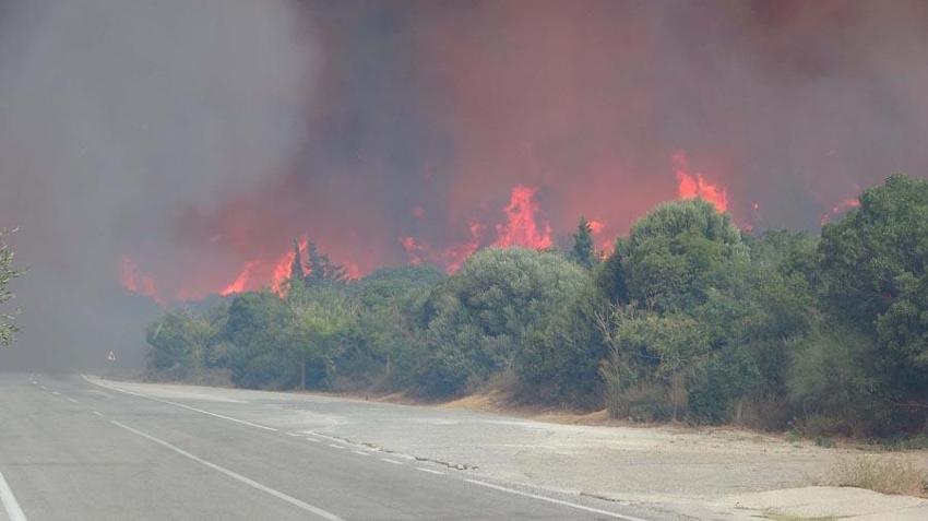 Çanakkale’nin Eceabat ilçesinde orman yangını çıktı! Bakan Yumaklı son durumu açıkladı