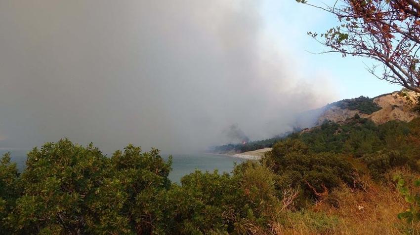 Çanakkale’nin Eceabat ilçesinde orman yangını çıktı! Bakan Yumaklı son durumu açıkladı