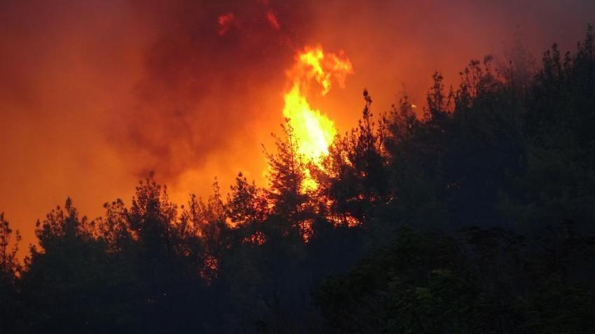 Çanakkale’nin Eceabat ilçesinde orman yangını çıktı! Bakan Yumaklı son durumu açıkladı