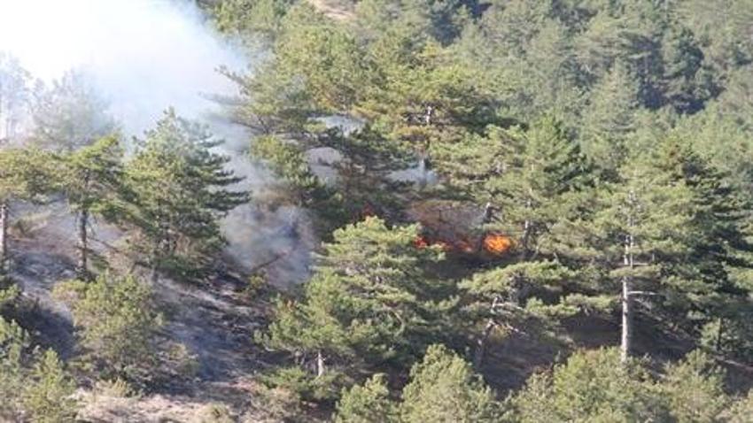 Bolu'da orman yangını sürüyor: İzmir'de başlayan yangın yerleşim yerlerine sıçradı! Yollar kapatıldı