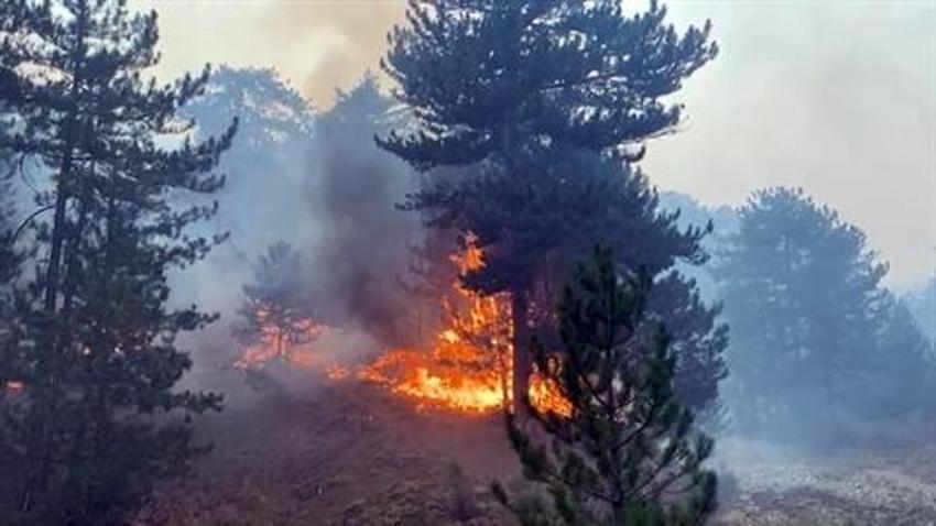 Bolu'da orman yangını sürüyor: İzmir'de başlayan yangın yerleşim yerlerine sıçradı! Yollar kapatıldı