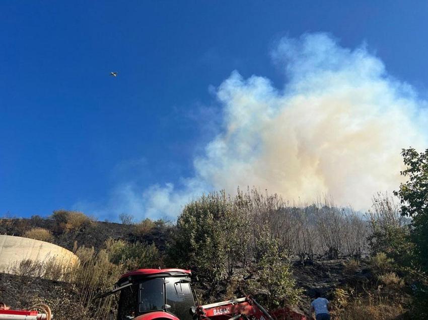 Bolu'da orman yangını sürüyor: İzmir'de başlayan yangın yerleşim yerlerine sıçradı! Yollar kapatıldı