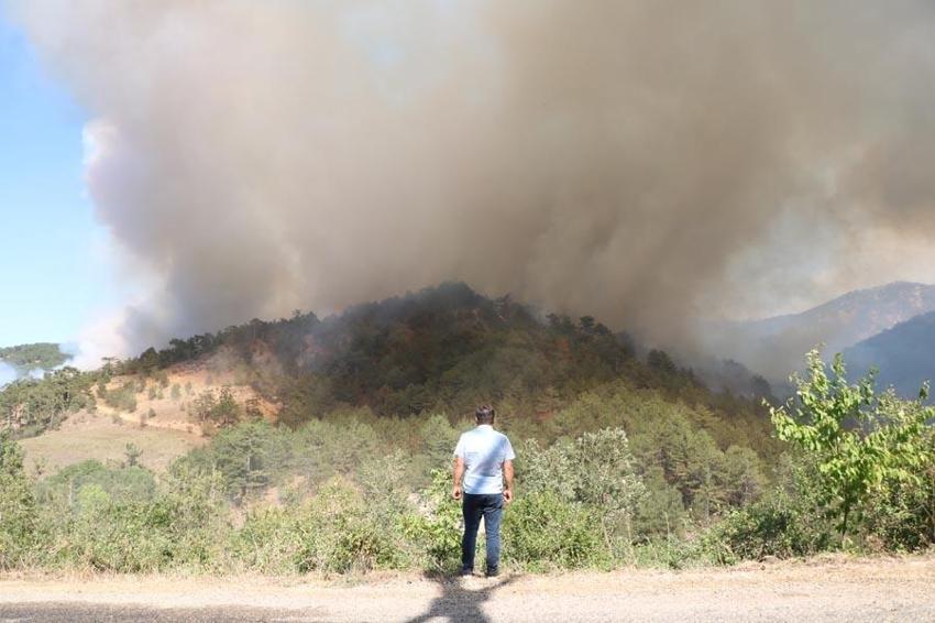 Bolu'da orman yangını sürüyor: İzmir'de başlayan yangın yerleşim yerlerine sıçradı! Yollar kapatıldı
