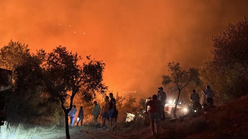 Bolu'da orman yangını sürüyor: İzmir'de başlayan yangın yerleşim yerlerine sıçradı! Yollar kapatıldı
