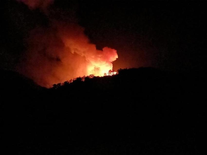 Bolu'da orman yangını sürüyor: İzmir'de başlayan yangın yerleşim yerlerine sıçradı! Yollar kapatıldı