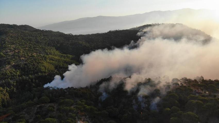 İzmir, Aydın, Bolu, Karabük'te orman yangını! Son durum belli oldu, işte yangının çıkış nedeni