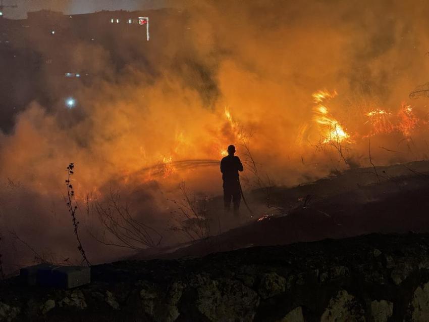 İzmir, Aydın, Bolu, Karabük'te orman yangını! Son durum belli oldu, işte yangının çıkış nedeni
