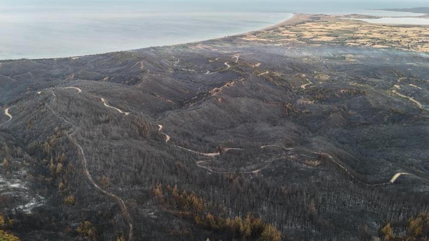 Yangın sonrası Çanakkale Savaşı'ndan kalma top mermisi ortaya çıktı