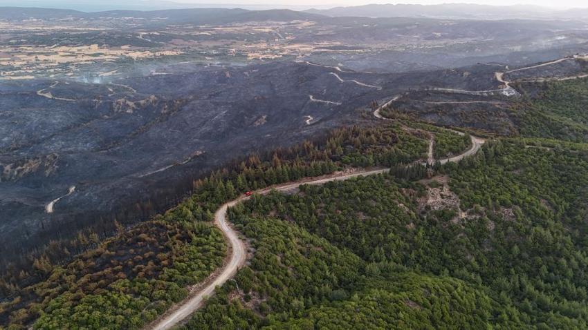 Yangın sonrası Çanakkale Savaşı'ndan kalma top mermisi ortaya çıktı